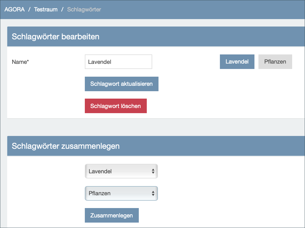 Screenshot von einer Agora-Raum 'Schlagwort bearbeiten'-Seite (ausgefüllt)