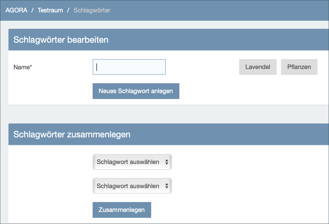 Screenshot von einer Agora-Raum 'Schlagwort bearbeiten'-Seite